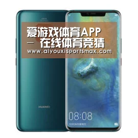 华为无线快充手机