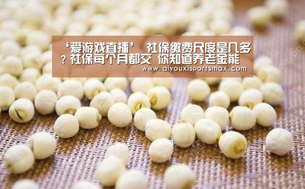 ‘爱游戏直播’
社保缴费尺度是几多?社保每个月都交 你知道养老金能领几多吗?(图4) 爱游戏赛事